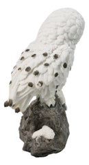 Snowy Owl Couple Figurine 5.5-Inch White Kissing Owl Statue on Snow-Covered Rock