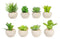 Set Of 8 Realistic Mini Artificial Botanica Green Succulents In Pots 2.25"H