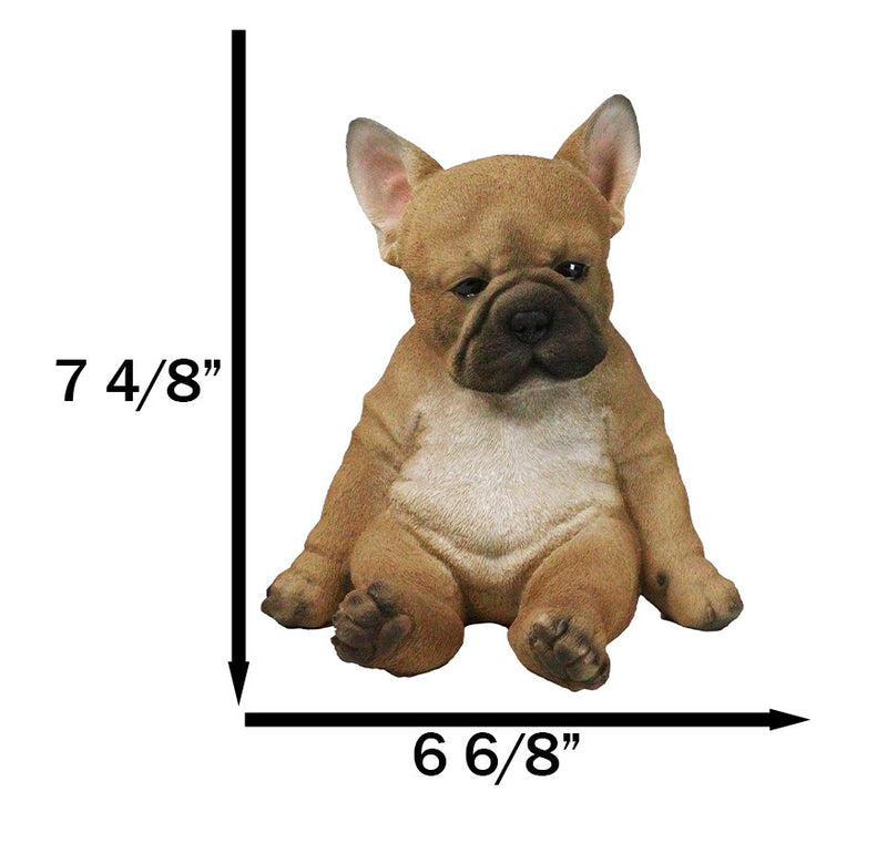 Laid Back Sitting Realistic Adorable French Bulldog Puppy Dog Figurine 7.5"H