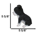 Realistic Miniature Boston Terrier Puppy Statue 6.25"Tall Animal Dog Collectible