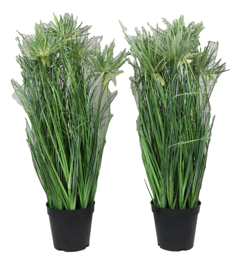 Pack Of 2 Realistic Lifelike Artificial Cyprus Grass Plant In Black Pot Botanica