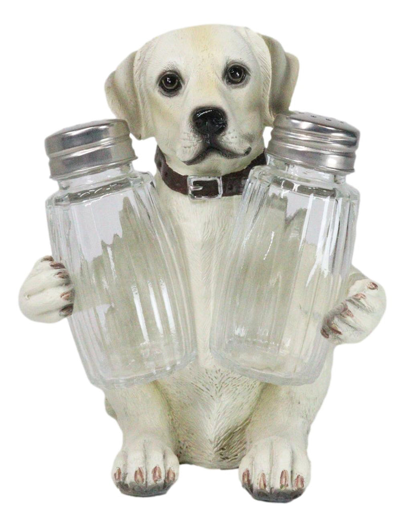 Pup And Spice Wide Eyed Cute Labrador Puppy Dog Glass Salt & Pepper Shakers Set