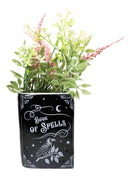 Witchcraft Magic Book of Spells 5.25" H Ceramic Book Shaped Planter Pot Vase