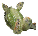 Nautical Marine Playful Green Shelled Sea Turtle On Back Flip Cell Phone Holder