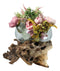 Balinese Natural Driftwood With Large Molten Glass Fruit Succulents Decor Bowl