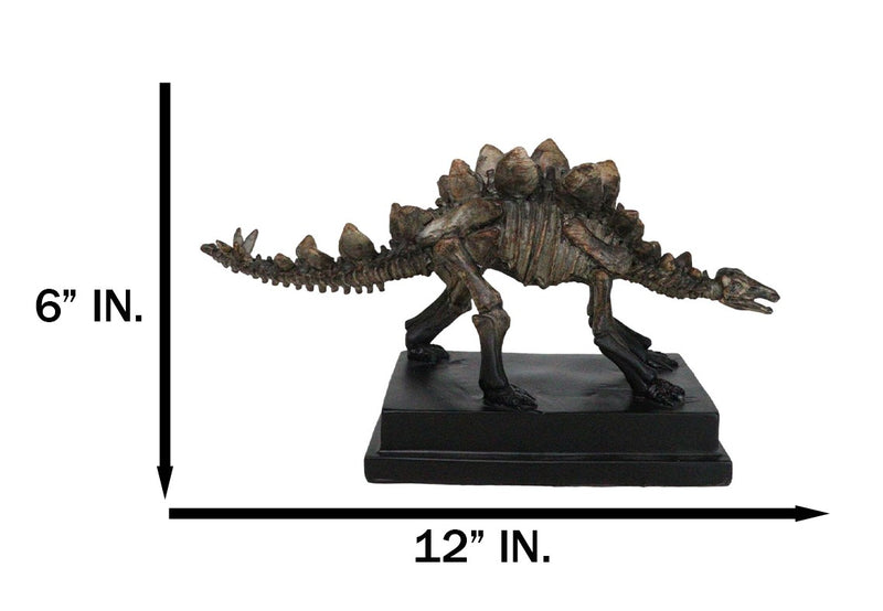 Faux Taxidermy Stegosaurus Dinosaur Fossil Figurine On Museum Display Base Stand