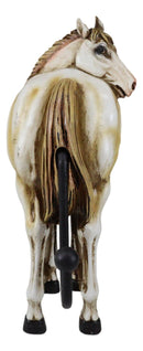Set of 3 Rustic Western White Brown Chestnut Horses Hind Butt Coat Wall Hooks
