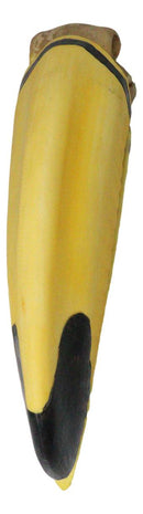 Realistic Faux Toco Toucan Skull with Yellow and Black Beak Sculpture 9" L