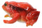 Amphibian Wild Creatures Realistic Northern Red Legged Frog Decorative Figurine