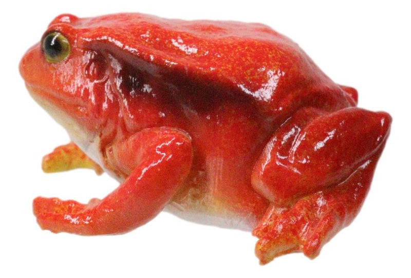 Amphibian Wild Creatures Realistic Northern Red Legged Frog Decorative Figurine