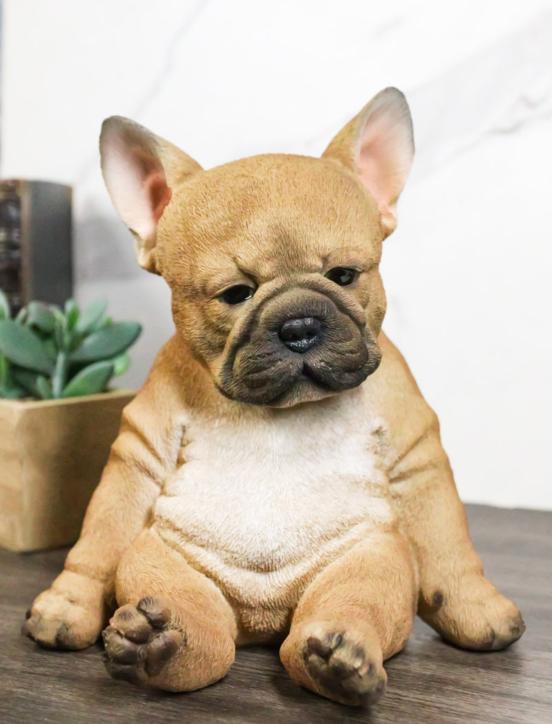 Laid Back Sitting Realistic Adorable French Bulldog Puppy Dog Figurine 7.5"H