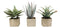Set Of 3 Realistic Lifelike Artificial Botanica Succulents In Square Pots 11"H