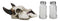 Rustic Western Cow Skull With Roped Horns Salt Pepper Glass Shakers & Holder Set