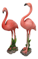 Tropical Paradise Bird Pink Flamingo Pair with Heart Shaped Neck Figurine Set