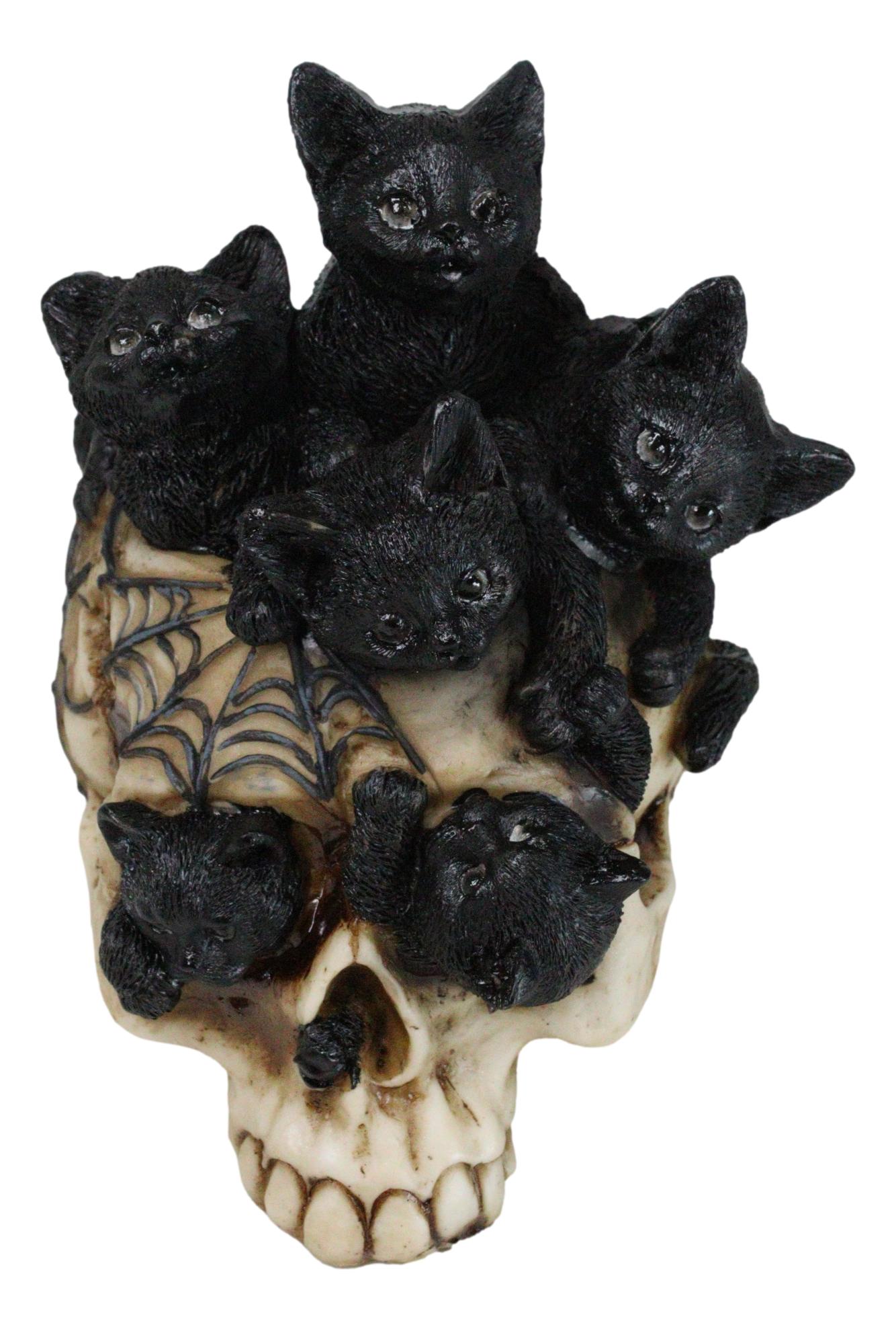 Witchcraft Black Kitten Cats Perching On Arachnid Spider Web Skull