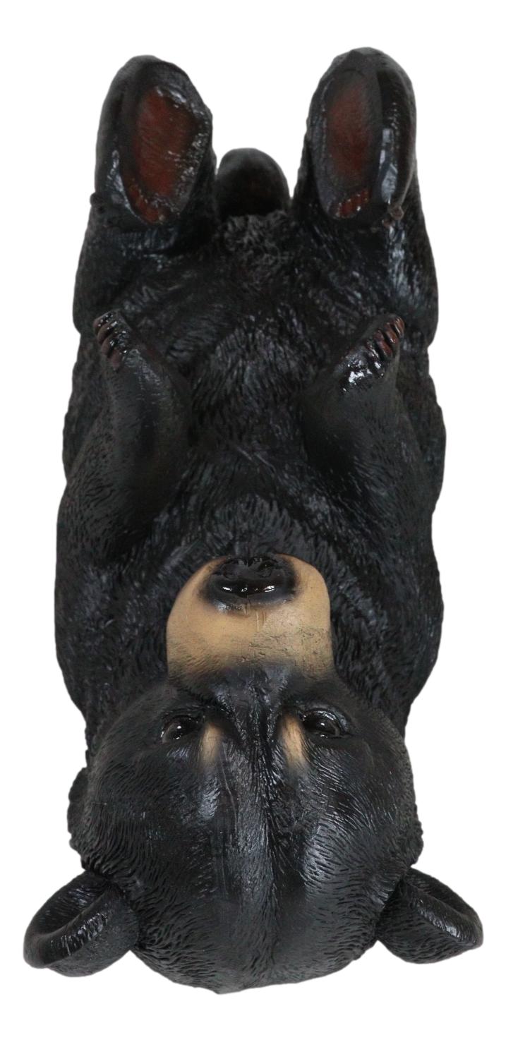 Ebros Gift Big Black Bear Wine Oil Bottle Holder Figurine 10"Long Home Decor - Ebros Gift