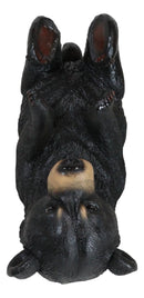 Ebros Gift Big Black Bear Wine Oil Bottle Holder Figurine 10"Long Home Decor