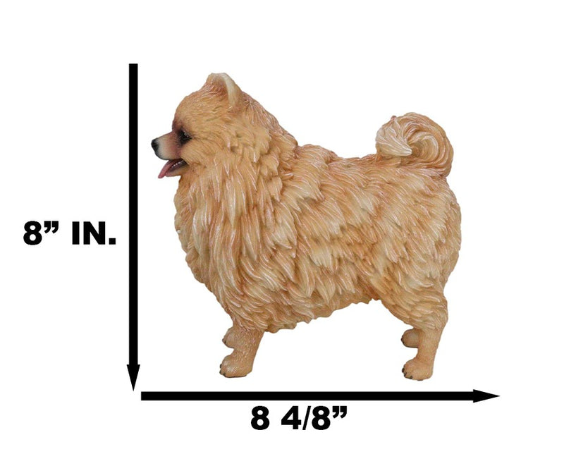 Lifelike Adorable Pet Pal Pomeranian Puppy Dog Standing Figurine