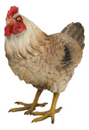 Rustic Western Country Farm Light Brown Chicken Hen Figurine 4.5" Tall