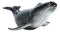 Large Nautical Ocean Marine Baleen Blue Humpback Whale Swimming Figurine 17"L