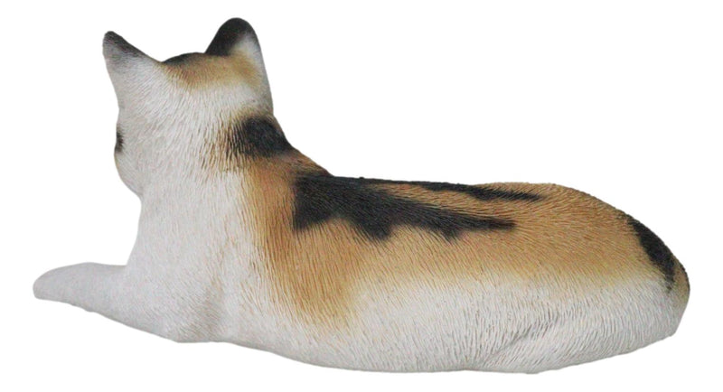 Realistic Adorable Feline Shorthair Calico Cat Kitten Lying Statue14.25"L