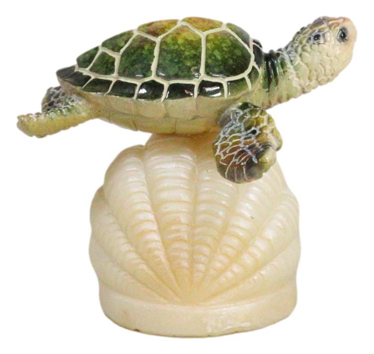 Ocean Marine Green Giant Sea Turtle Swimming Over LED Light Clam Shell Figurine