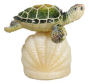 Ocean Marine Green Giant Sea Turtle Swimming Over LED Light Clam Shell Figurine