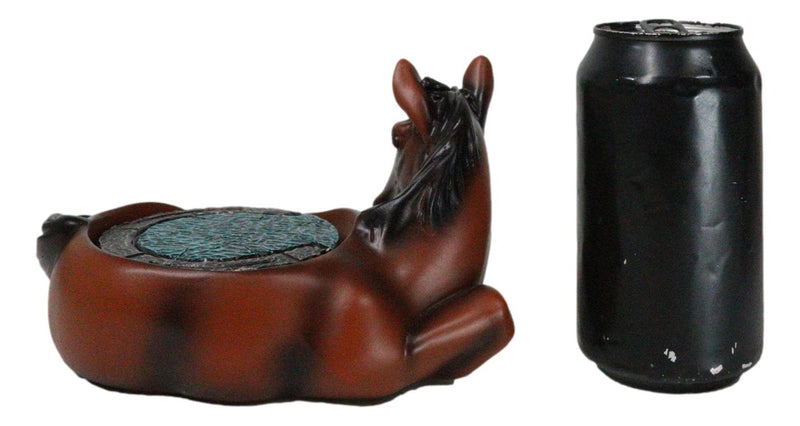 Rustic Western Brown Chestnut Horse Coaster Holder with Horseshoe Coasters Set