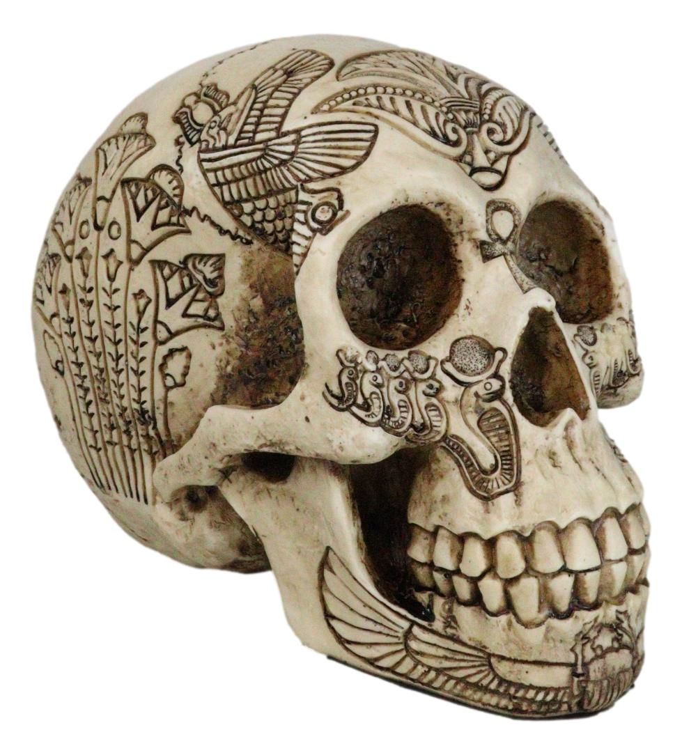 Ebros Bone Ancient Egyptian Gods Paranormal Voodoo Scarab Dung Beetle Skull Statue 8.5" Long Figurine - Ebros Gift
