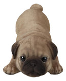 Realistic Lifelike Adorable Fawn Pug Puppy Dog Crouching Playfully Figurine