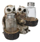 Owl Lovers Couple Salt and Pepper Shaker Holder with Glass Shakers Figurine