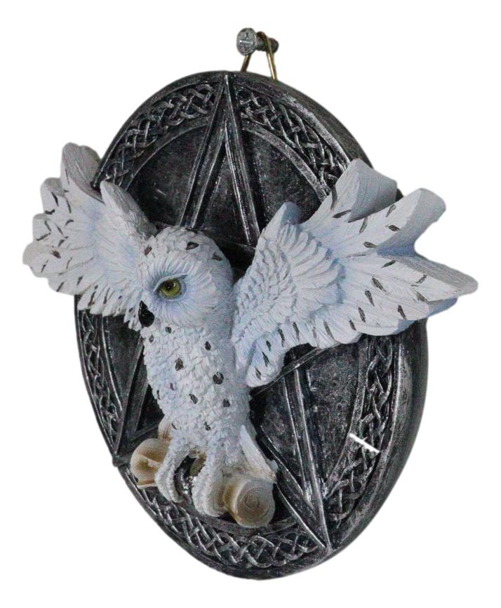 Wiccan Witch White Snowy Owl 3D Wall Plaque With Pentagram & Celtic Knotwork