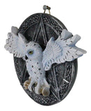 Wiccan Witch White Snowy Owl 3D Wall Plaque With Pentagram & Celtic Knotwork