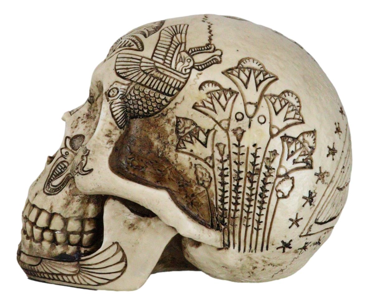 Ebros Bone Ancient Egyptian Gods Paranormal Voodoo Scarab Dung Beetle Skull Statue 8.5" Long Figurine - Ebros Gift