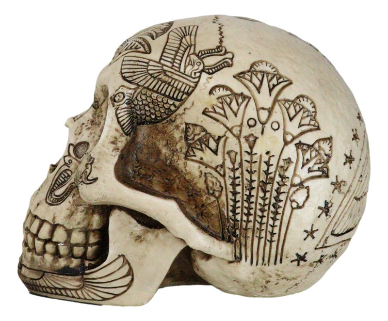 Ebros Bone Ancient Egyptian Gods Paranormal Voodoo Scarab Dung Beetle Skull Statue 8.5" Long Figurine