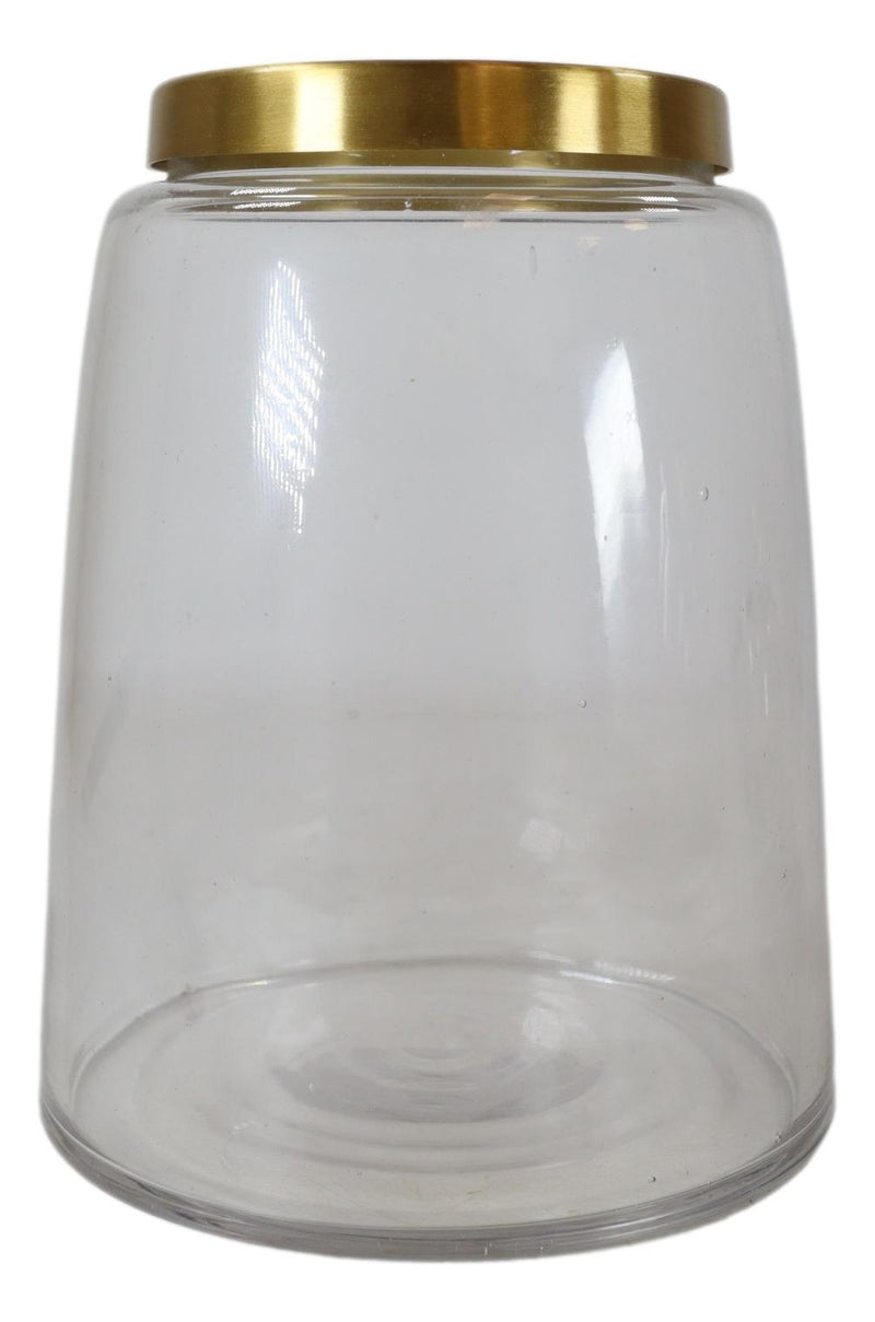 Set of 3 Clear Glass Canister Make Up Seashells Sand Storage Jars With Gold Lids