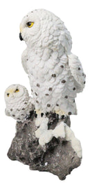 Snowy Owl Mother and Owlet Figurine on Snow-Covered Rock Nature Wildlife Bird