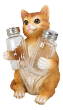 Ebros Orange Tabby Kitty Cat Hugging Spice Salt Pepper Shakers Holder 8.25"H