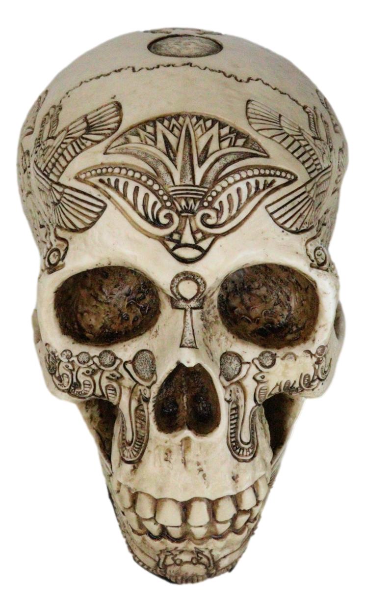 Ebros Bone Ancient Egyptian Gods Paranormal Voodoo Scarab Dung Beetle Skull Statue 8.5" Long Figurine - Ebros Gift