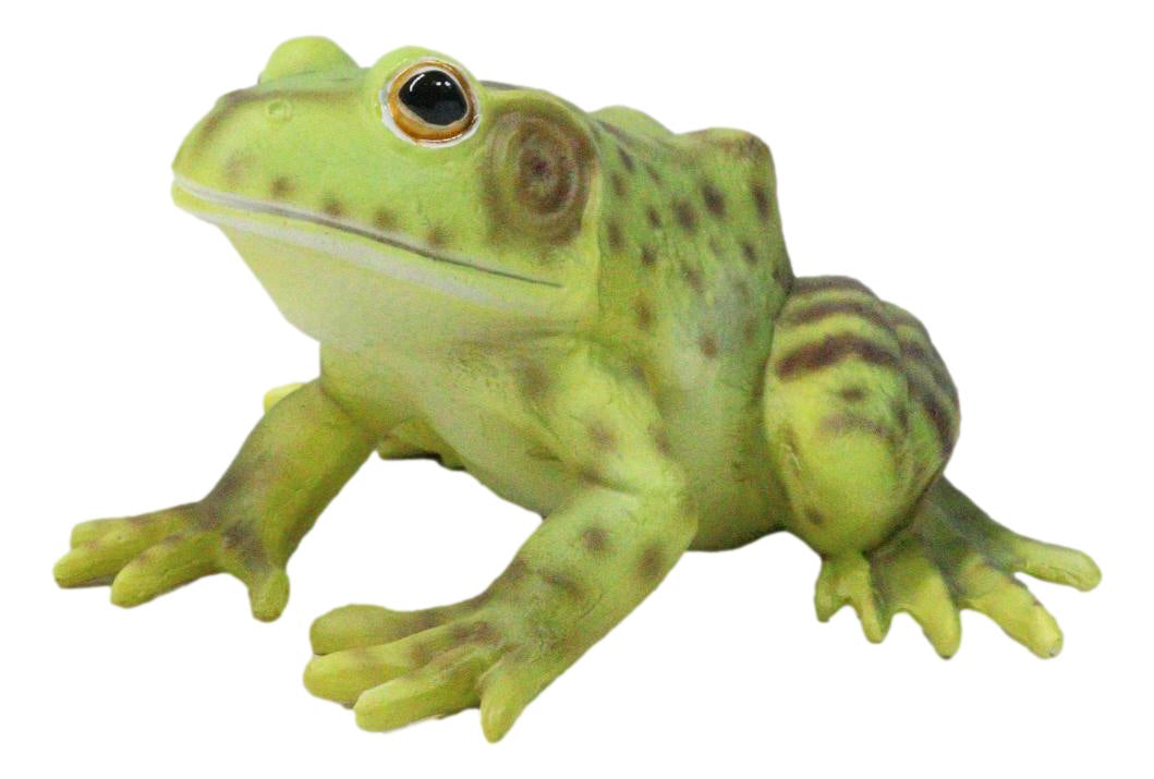Amphibian Wild Creatures Realistic Green Frog Decorative Figurine