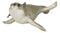 Set Of 6 Nautical Sea Grey Seals Ocean Marine Wall Decor Tree Ornaments