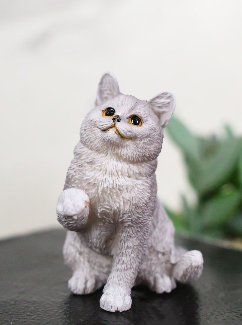 Realistic Feline British Shorthair Grey Kitty Cat Kitten Pawing Mini Figurine