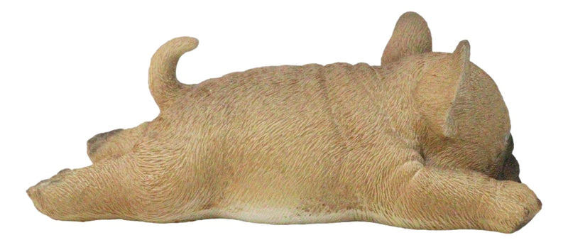 Adorable Frenchie French Bulldog Dog Fridge Magnet Figurine 5" Long