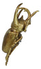 Medium Gold Resin 3 Horned Rhinoceros Beetle Wall Decor Or Tabletop Figurine