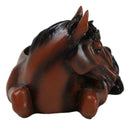 Rustic Western Brown Chestnut Horse Coaster Holder with Horseshoe Coasters Set