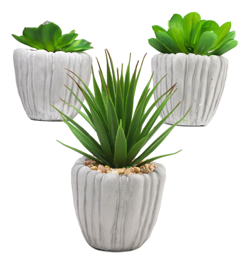 artificial succulents in grey pots Set Of 3 Realistic Artificial Botanica Fern Succulents Plant In Grey C– Ebros Gift