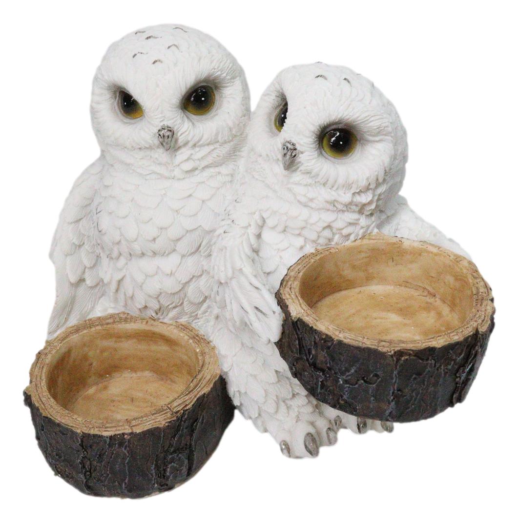Wildlife Birds White Snowy Owl Couple Salt and Pepper Glass Shakers Holder