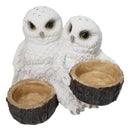 Wildlife Birds White Snowy Owl Couple Salt and Pepper Glass Shakers Holder