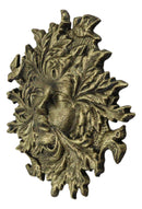 Cast Iron Antiqued Forest Spirit Goddess Celtic Greenwoman Ent Face Wall Decor