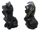 Set of 2 Halloween Grim Reaper Black Cats with Cloak and Scythe Figurines 4" H